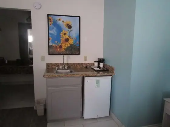 Standard Oda, 1 En Büyük (King) Boy Yatak, Sigara İçilmez, Buzdolabı ve Mikrodalga