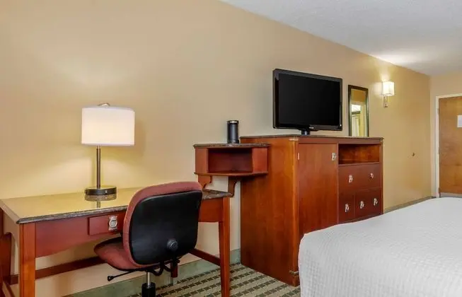 Standard Oda, 2 Büyük (Queen) Boy Yatak, Sigara İçilmez (Pet Friendly)
