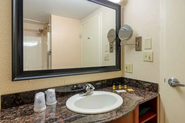Standard Oda, 2 Büyük (Queen) Boy Yatak, Sigara İçilmez (Pet Friendly)