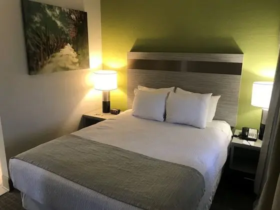 Süit, 1 En Büyük (King) Boy Yatak, Sigara İçilmez (Oversized Room;with Sofabed)