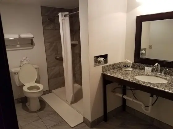 Standard Oda, 1 Büyük (Queen) Boy Yatak, Engellilere Uygun, Sigara İçilmez (Walk-in Shower)