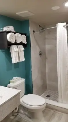 Standard Oda, 1 En Büyük (King) Boy Yatak, Sigara İçilmez, Buzdolabı