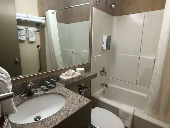 Standard Oda, 1 En Büyük (King) Boy Yatak, Sigara İçilmez, Buzdolabı ve Mikrodalga