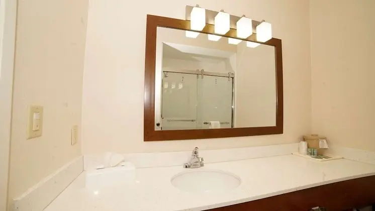 Süit, 1 En Büyük (King) Boy Yatak, Sigara İçilmez, Sıcak Su Küveti (Shower Only;with Sofabed)