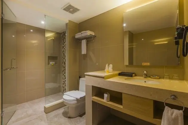 Executive Oda, 1 Büyük (Queen) Boy Yatak, Sigara İçilmez (Shower Only)