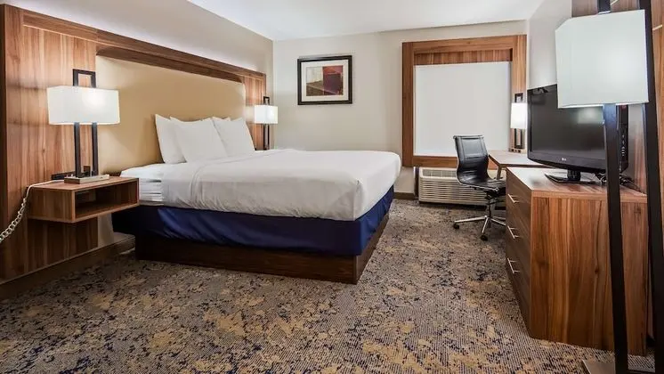 Standard Oda, 1 En Büyük (King) Boy Yatak, Engellilere Uygun, Sigara İçilmez (Pet Friendly)