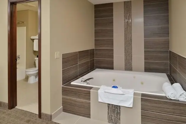 Süit, 1 En Büyük (King) Boy Yatak, Engellilere Uygun, Sigara İçilmez (Jetted Tub)