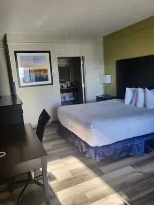 Standard Oda, 1 Büyük (Queen) Boy Yatak, Engellilere Uygun, Sigara İçilmez