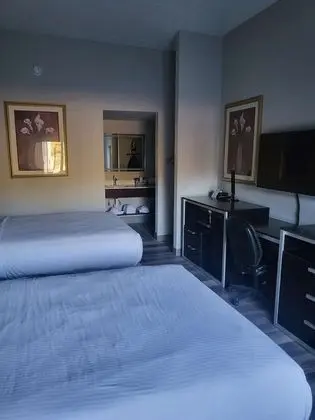 Standard Oda, 2 Büyük (Queen) Boy Yatak, Sigara İçilmez, Buzdolabı ve Mikrodalga