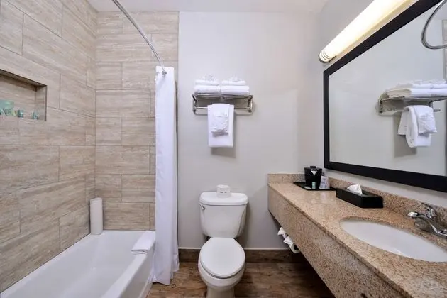 Standard Oda, 2 Büyük (Queen) Boy Yatak, Sigara İçilmez, Buzdolabı ve Mikrodalga (Pet Friendly)