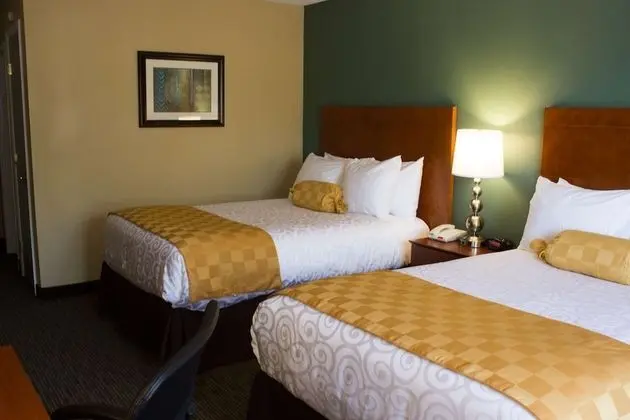 Standard Oda, 2 Çift Kişilik Yatak, Sigara İçilmez, Buzdolabı ve Mikrodalga