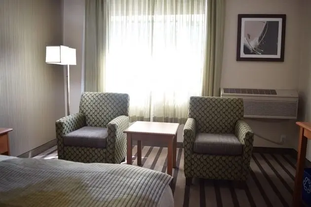 Standard Oda, 1 En Büyük (King) Boy Yatak, Sigara İçilmez, Havuz Kenarı (1st Floor;with Sofabed)