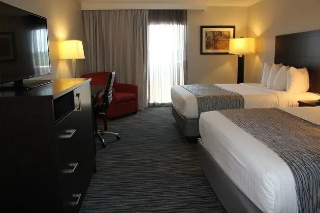Standard Oda, 2 Büyük (Queen) Boy Yatak, Sigara İçilmez (Pet Friendly)