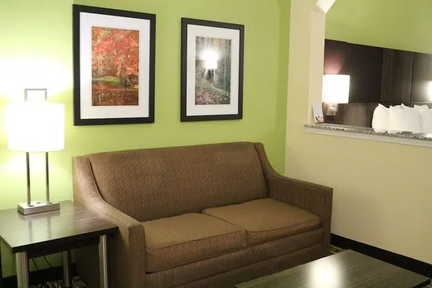Süit, 1 En Büyük (King) Boy Yatak, Sigara İçilmez, Buzdolabı ve Mikrodalga