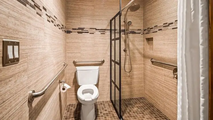 Standard Oda, 1 Büyük (Queen) Boy Yatak, Engellilere Uygun (Walk-in Shower)