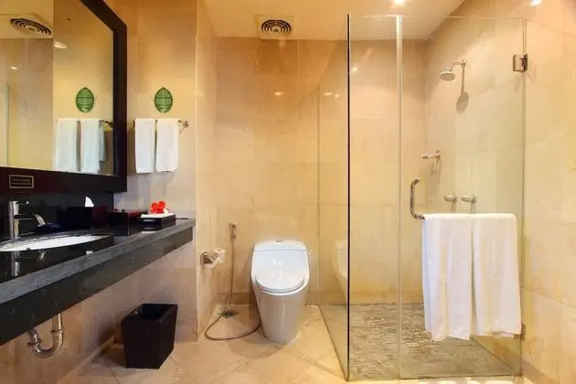Deluxe Oda, 2 Tek Kişilik Yatak, Balkon, Havuz Manzaralı
