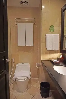 Superior Oda, 1 En Büyük (King) Boy Yatak, Sigara İçilmez, Şehir Manzaralı (Shower Only)