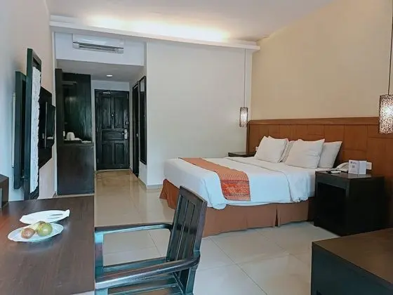 Superior Oda, 1 En Büyük (King) Boy Yatak, Sigara İçilmez, Şehir Manzaralı (Shower Only)