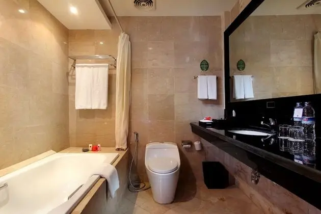 Superior Oda, 1 En Büyük (King) Boy Yatak, Sigara İçilmez, Şehir Manzaralı (Shower Only)