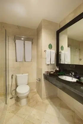 Superior Oda, 1 En Büyük (King) Boy Yatak, Sigara İçilmez, Şehir Manzaralı (Shower Only)