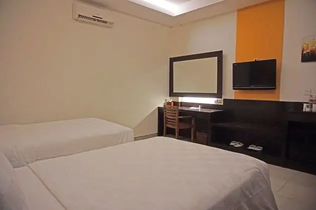 Deluxe Oda, 2 Tek Kişilik Yatak, Sigara İçilmez, Küvet