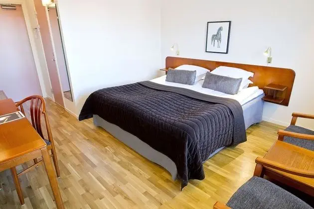 Standard Oda, 1 En Büyük (King) Boy Yatak, Sigara İçilmez, Manzaralı