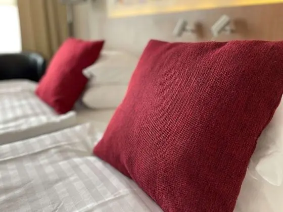 Standard Oda, 1 Çift Kişilik Yatak, Sigara İçilmez