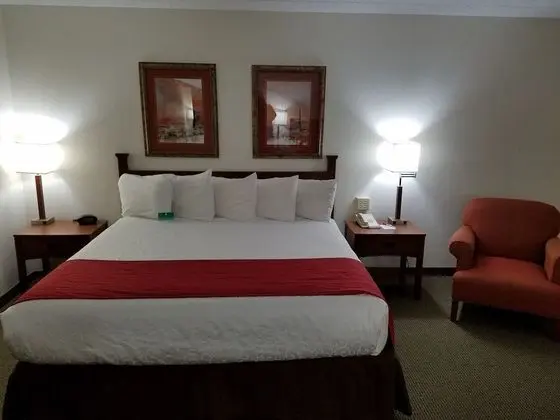 Standard Oda, 1 En Büyük (King) Boy Yatak, Engellilere Uygun, Sigara İçilmez (Walk-in Shower)