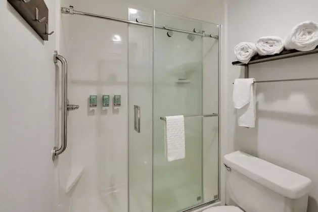 Süit, 1 En Büyük (King) Boy Yatak, Sigara İçilmez, Küçük Mutfak (Shower Only;with Sofabed)