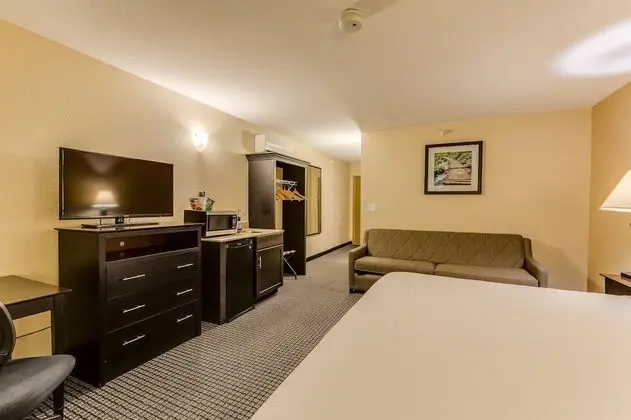 Süit, 1 En Büyük (King) Boy Yatak ve Çekyat, Balkon, Havuz Manzaralı (with Sofabed)