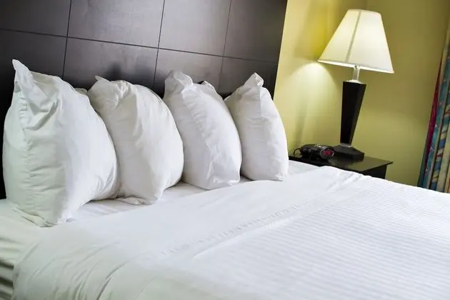 Süit, Birden Çok Yatak, Sigara İçilmez, Buzdolabı ve Mikrodalga