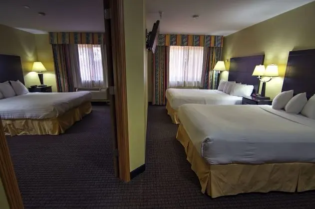 Süit, Birden Çok Yatak, Sigara İçilmez, Buzdolabı ve Mikrodalga