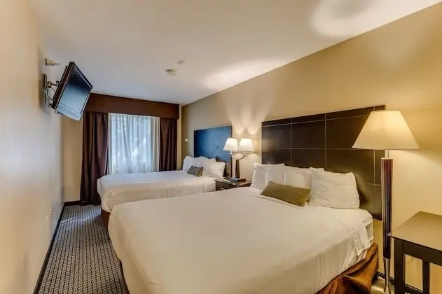 Süit, Birden Çok Yatak, Sigara İçilmez, Buzdolabı ve Mikrodalga