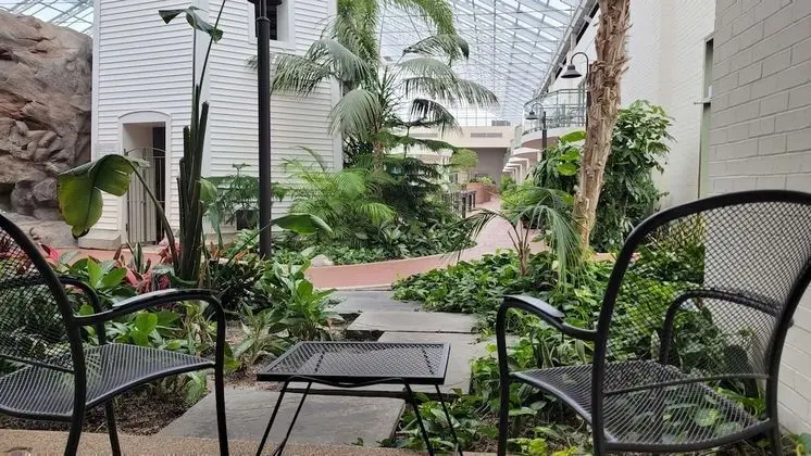 Standard Oda, 2 Büyük (Queen) Boy Yatak, Sigara İçilmez, Veranda (Atrium View)