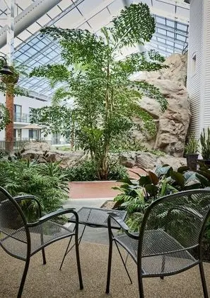 Standard Oda, 2 Büyük (Queen) Boy Yatak, Sigara İçilmez, Veranda (Atrium View)