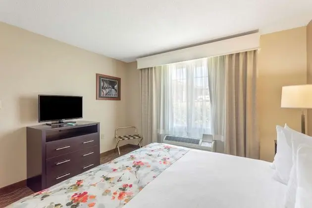 Süit, 1 En Büyük (King) Boy Yatak ve Çekyat, Engellilere Uygun, Sigara İçilmez (with Sofabed)