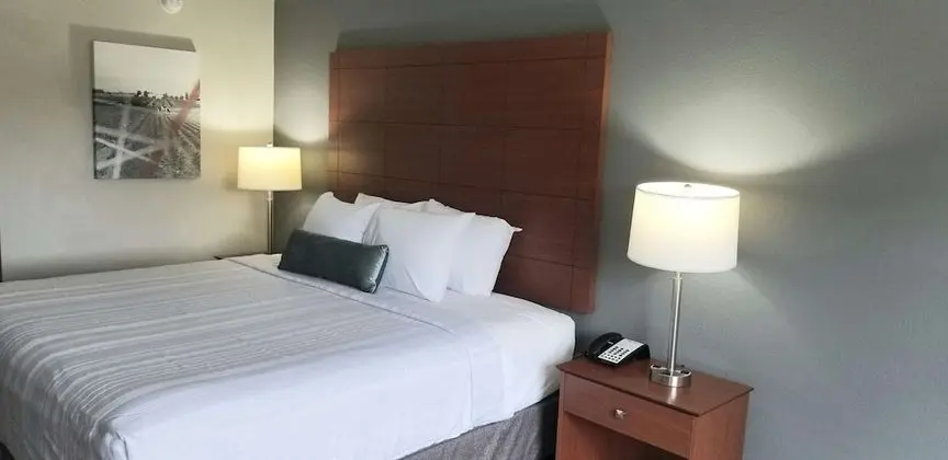 ADA Accessible, Standard Room, 1 King Bed, Refrigerator & Microwave (Roll-in Shower)