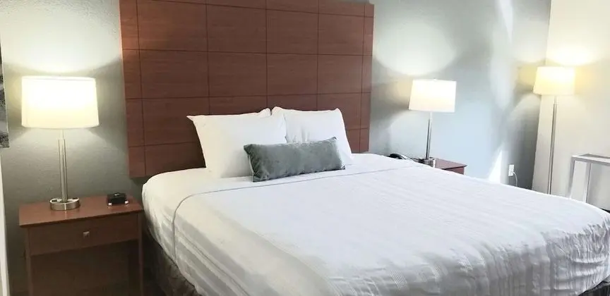 Standard Oda, 1 En Büyük (King) Boy Yatak, Sigara İçilmez, Buzdolabı ve Mikrodalga
