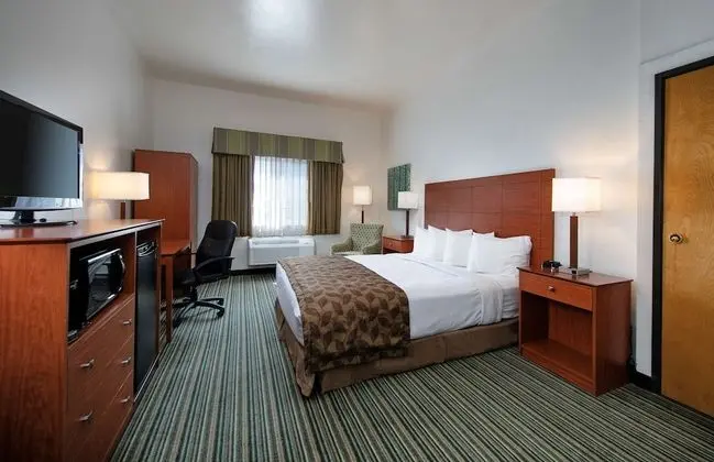 Standard Oda, 1 En Büyük (King) Boy Yatak, Engellilere Uygun, Sigara İçilmez