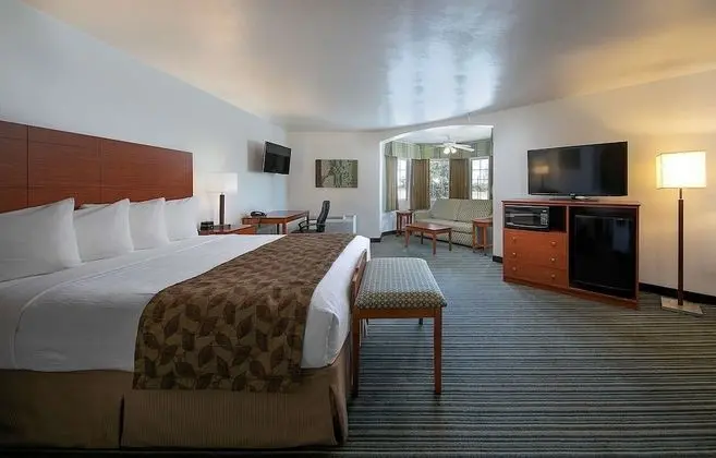 Standard Oda, 1 En Büyük (King) Boy Yatak, Sigara İçilmez, Buzdolabı ve Mikrodalga