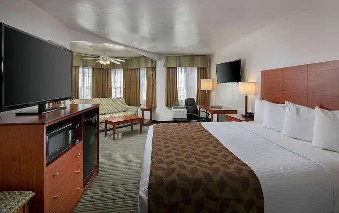 Standard Oda, 1 En Büyük (King) Boy Yatak, Sigara İçilmez, Buzdolabı ve Mikrodalga