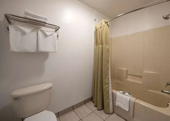 Standard Oda, 1 En Büyük (King) Boy Yatak, Sigara İçilmez, Buzdolabı ve Mikrodalga