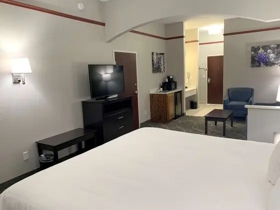 Deluxe Süit, 1 En Büyük (King) Boy Yatak ve Çekyat, Sigara İçilmez (with Sofabed)