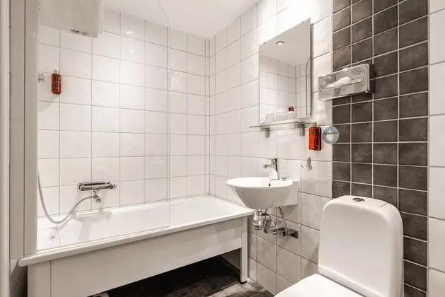 Standard Tek Büyük Yataklı Oda, 1 En Büyük (King) Boy Yatak ve Çekyat