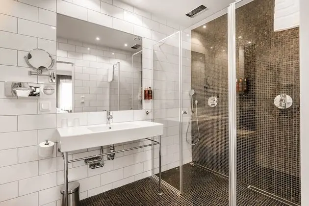 Standard Tek Büyük Yataklı Oda, 1 En Büyük (King) Boy Yatak ve Çekyat