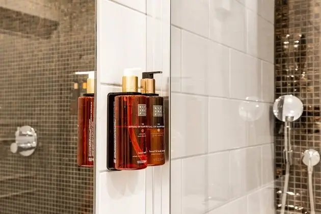 Standard Tek Büyük Yataklı Oda, 1 En Büyük (King) Boy Yatak ve Çekyat