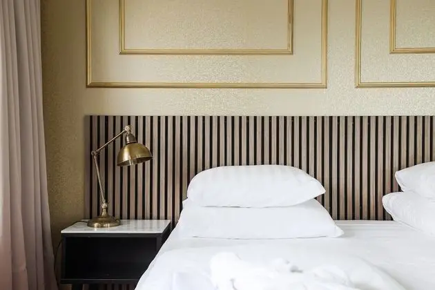 Standard Tek Büyük Yataklı Oda, 1 En Büyük (King) Boy Yatak ve Çekyat