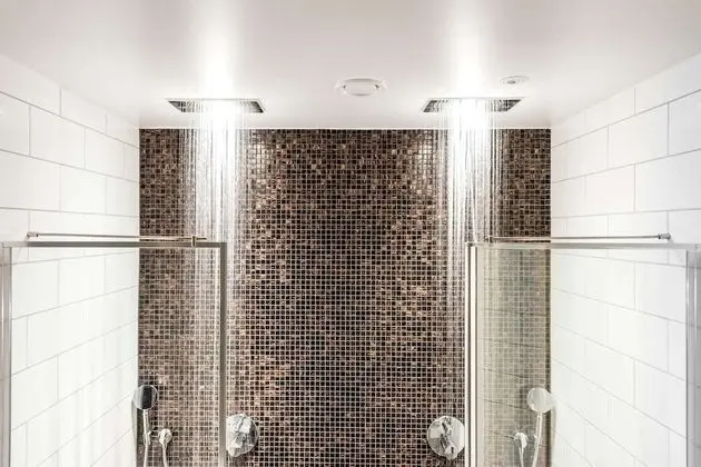 Standard Tek Büyük Yataklı Oda, 1 En Büyük (King) Boy Yatak ve Çekyat