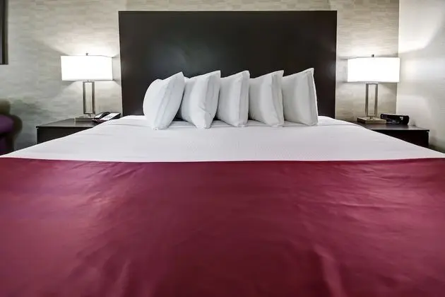Business Oda, 1 En Büyük (King) Boy Yatak ve Çekyat, Sigara İçilmez, Buzdolabı (with Sofabed)