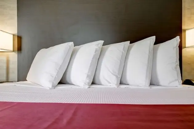 Standard Oda, 2 Büyük (Queen) Boy Yatak, Sigara İçilmez, Buzdolabı
